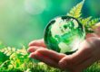 política de medio ambiente