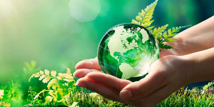 p-m-ambiente política de medio ambiente